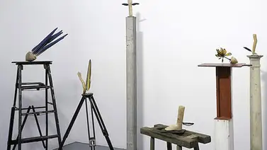 Colección Patricia Phelps de Cisneros en México presenta "Portadores de Sentido" Colección Patricia Phelps de Cisneros en México presenta "Portadores de Sentido"