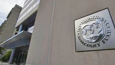 FMI espera guía de sus miembros sobre si reconocer a Guaidó como presidente