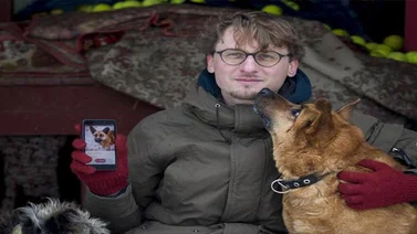 "Es como Tinder, pero con perros", la nueva aplicación que causa furor en Lituania