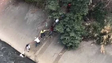 Salvaron a hombre que cayó al río Guaire durante movilización de este sábado