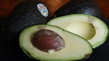 El furor del aguacate, "oro verde" de América latina, preocupa en EEUU y Europa El furor del aguacate, "oro verde" de América latina, preocupa en EEUU y Europa