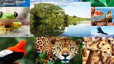 Botánico español: Entender la biodiversidad es clave para la supervivencia