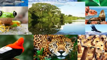 Botánico español: Entender la biodiversidad es clave para la supervivencia Botánico español: Entender la biodiversidad es clave para la supervivencia