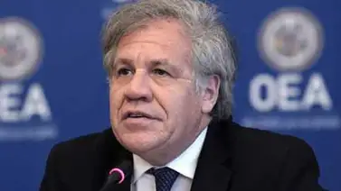 Almagro: El único propósito de la OEA es acabar con la "usurpación" de la Presidencia en Venezuela Almagro: El único propósito de la OEA es acabar con la "usurpación" de la Presidencia en Venezuela