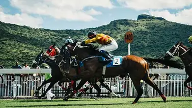 Video: El caballo lo expulsó hacia adelante, pero él ganó la carrera Video: El caballo lo expulsó hacia adelante, pero él ganó la carrera