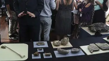 El Museo Nacional de Brasil presenta su primera exposición tras incendio El Museo Nacional de Brasil presenta su primera exposición tras incendio