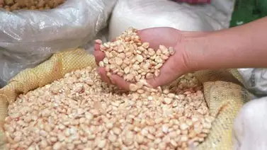 Ordenan redireccionar 4 mil toneladas de maíz para garantizar abastecimiento de harina Ordenan redireccionar 4 mil toneladas de maíz para garantizar abastecimiento de harina
