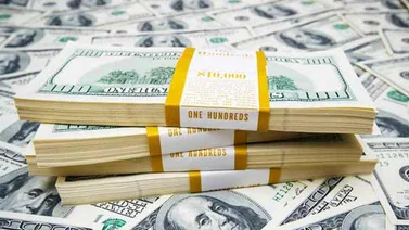 Valor del dólar Dicom se establece en Bs.S 704,57