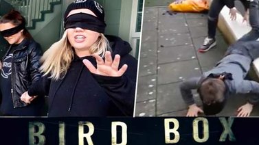Mira los videos más locos del nuevo Bird Box Challenge