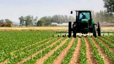Fedeagro espera que Ley de Semillas sea respaldada por el Ejecutivo
