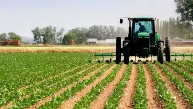 Fedeagro espera que Ley de Semillas sea respaldada por el Ejecutivo Fedeagro espera que Ley de Semillas sea respaldada por el Ejecutivo