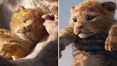 El remake de "El Rey León" estrenó su primer tráiler de la versión live action