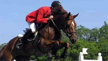 No aparecen los caballos importados de Alejandro Andrade