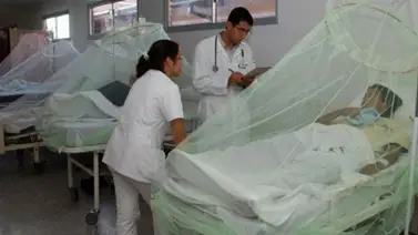 Venezuela lideró casos de malaria en América durante 2017 Venezuela lideró casos de malaria en América durante 2017