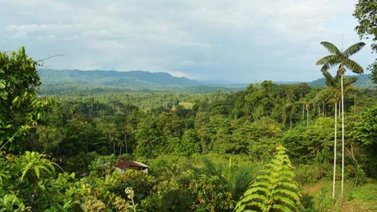 La biodiversidad en Ecuador afronta varias amenazas, aseguró biólogo