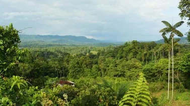 La biodiversidad en Ecuador afronta varias amenazas, aseguró biólogo