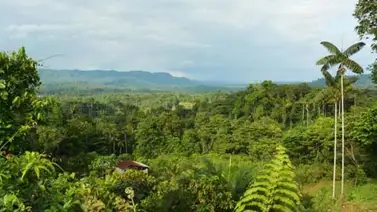 La biodiversidad en Ecuador afronta varias amenazas, aseguró biólogo La biodiversidad en Ecuador afronta varias amenazas, aseguró biólogo