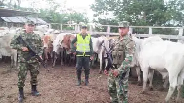 Venezuela cierra frontera de intercambio con Colombia en alerta por fiebre aftosa Venezuela cierra frontera de intercambio con Colombia en alerta por fiebre aftosa