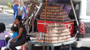 Cartón de huevo en la calle sobrepasa más del 200% del valor acordado Cartón de huevo en la calle sobrepasa más del 200% del valor acordado