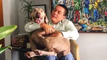 El mensaje del hijo de Fernando Albán a su padre El mensaje del hijo de Fernando Albán a su padre