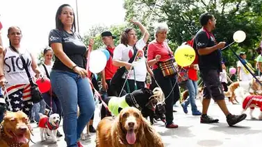 Mascotas podrán celebrar su día en el Parque Los Caobos Mascotas podrán celebrar su día en el Parque Los Caobos