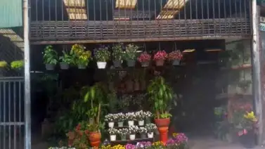 Tres impactos de bala recibió un ciudadano en El Marqués Tres impactos de bala recibió un ciudadano en El Marqués