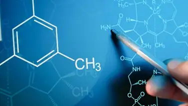 El Nobel de Química reconoce el aprovechamiento del poder de la evolución El Nobel de Química reconoce el aprovechamiento del poder de la evolución