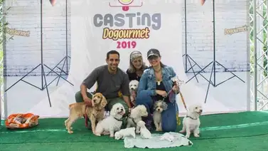 Dogourmet hizo en Caracas el primer casting de su Calendario 2019 (+Fotos) Dogourmet hizo en Caracas el primer casting de su Calendario 2019 (+Fotos)
