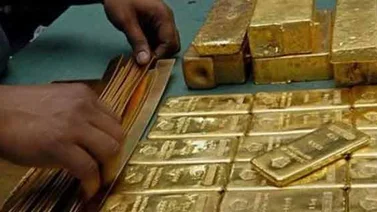 El "lingotico" se podrá adquirir de manera digital