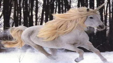 El unicornio, un animal mitológico que nunca pasa de moda
