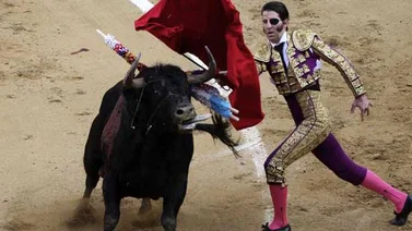 Sorprendente video de cuando un toro arranca cuero cabelludo al torero Juan José Padilla