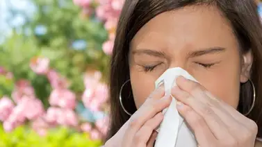 Las alergias deben ser tratadas a tiempo Las alergias deben ser tratadas a tiempo