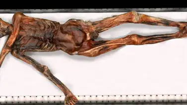 Las herramientas de momia Ötzi arrojan más luz sobre su vida hace 5.300 años Las herramientas de momia Ötzi arrojan más luz sobre su vida hace 5.300 años