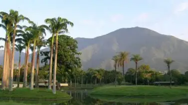 La ecología criolla clama por dolientes La ecología criolla clama por dolientes