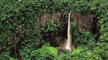 Una expedición comprueba que la mayor biodiversidad del mundo está en Bolivia Una expedición comprueba que la mayor biodiversidad del mundo está en Bolivia