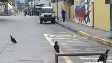 Las calles de Mérida siguen vacías (+Fotos) Las calles de Mérida siguen vacías (+Fotos)