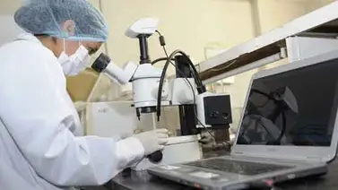 La ciencia y tecnología no tienen vida con la crisis La ciencia y tecnología no tienen vida con la crisis