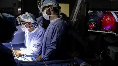 Colorantes pueden ayudar a detector células cancerígenas Colorantes pueden ayudar a detector células cancerígenas