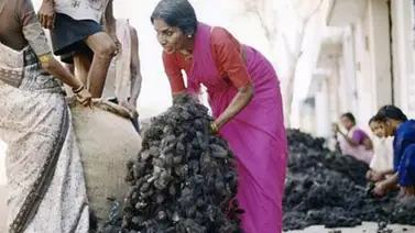 El pelo indio gana peso, pero pierde dinero en el mercado internacional El pelo indio gana peso, pero pierde dinero en el mercado internacional