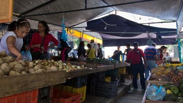 "Los gochos" denuncian "matraca" en las vías