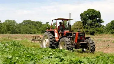 Director de Fedeagro dijo que agricultores carecen de semillas por estricto control cambiario Director de Fedeagro dijo que agricultores carecen de semillas por estricto control cambiario