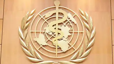 Expertas piden una perspectiva de género en la lucha contra el tabaquismo Expertas piden una perspectiva de género en la lucha contra el tabaquismo