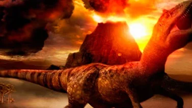 Las aves dan claves de la locomoción de dinosuarios como Tirannosaurus rex