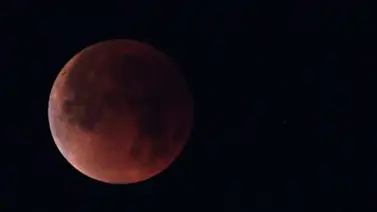 De esta manera se vio la luna "azul de sangre" (+Video) De esta manera se vio la luna "azul de sangre" (+Video)