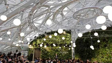 Las esferas florecen en la sede central urbana de Amazon en Seattle