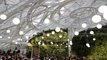 Las esferas florecen en la sede central urbana de Amazon en Seattle Las esferas florecen en la sede central urbana de Amazon en Seattle