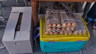 Huevos sustituyen a carne y pollo (+Fotos) Huevos sustituyen a carne y pollo (+Fotos)