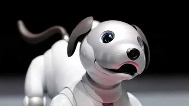 El perro-robot Aibo se agotó en la venta anticipada