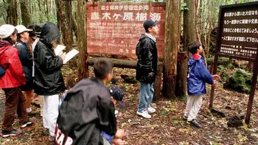 Youtuber Logan Paul se disculpa por video con suicida en Japón Youtuber Logan Paul se disculpa por video con suicida en Japón