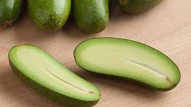Conoce más sobre el aguacate sin semilla (+Foto) Conoce más sobre el aguacate sin semilla (+Foto)